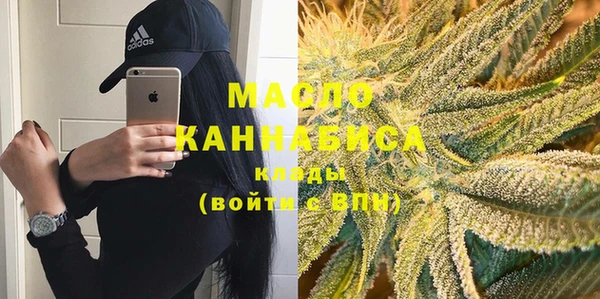 индика Баксан