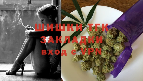 индика Баксан