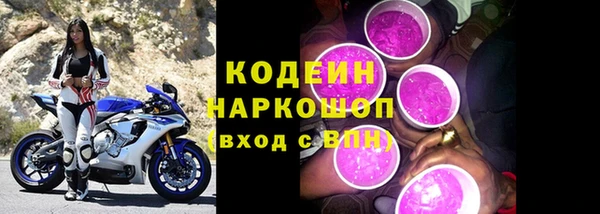 индика Баксан