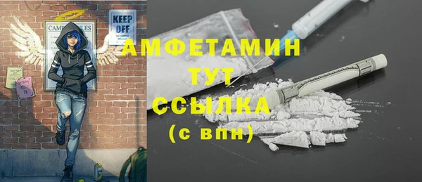 индика Баксан