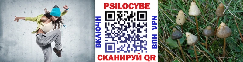 Галлюциногенные грибы Psilocybe  наркошоп  Заволжск 